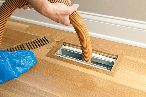 Best Air Duct Cleaning Company Near Me  in Elkins Rk, PA