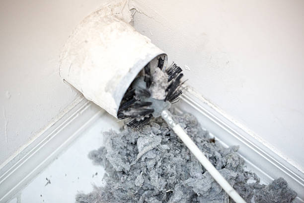 Best Affordable HVAC Duct Cleaning  in Elkins Rk, PA